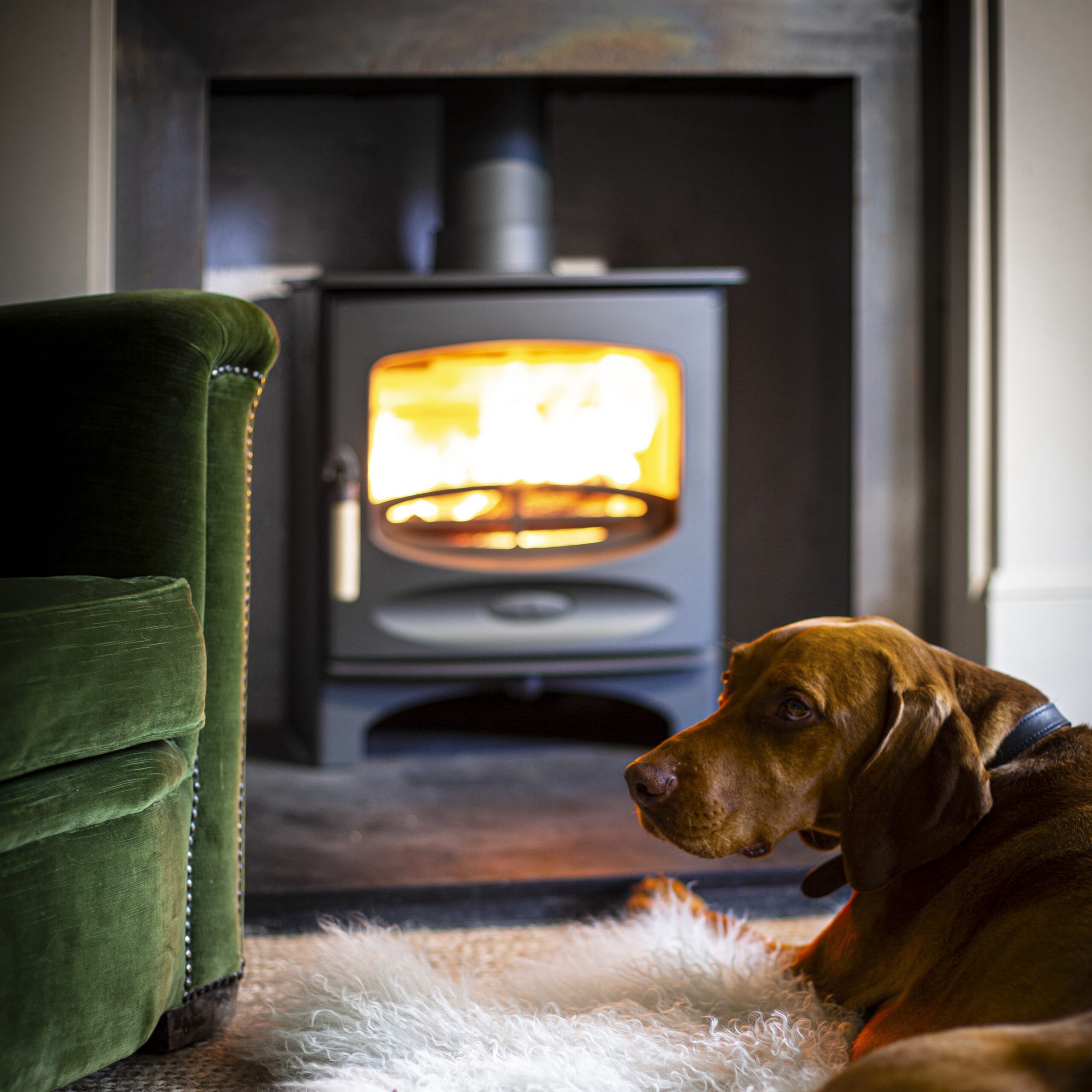 Charnwood C-Five London 2