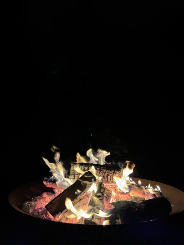 logs for woodburner