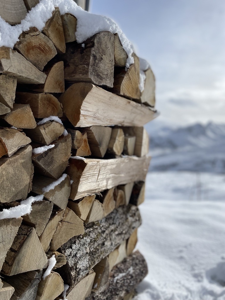 best wood for stoves