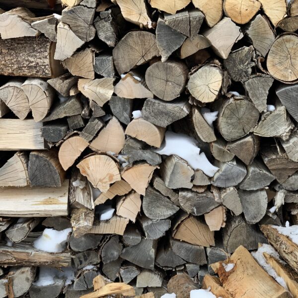 the best wood for woodburners