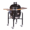 Monolith BBQ-GURU Pro (1)