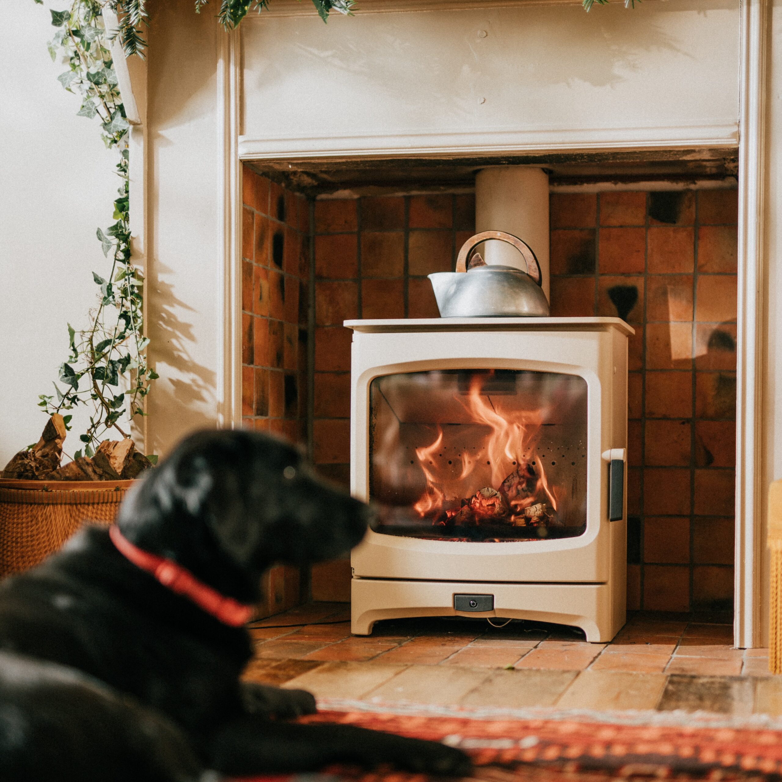 Charnwood Aire 700 Almond with dog